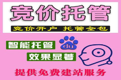 竞价推广公司案例揭秘：如何利用数据分析提升广告效果